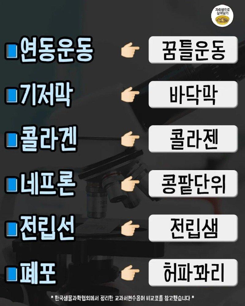 05.jpg