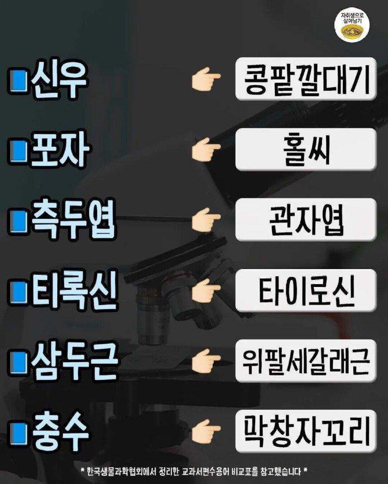 02.jpg
