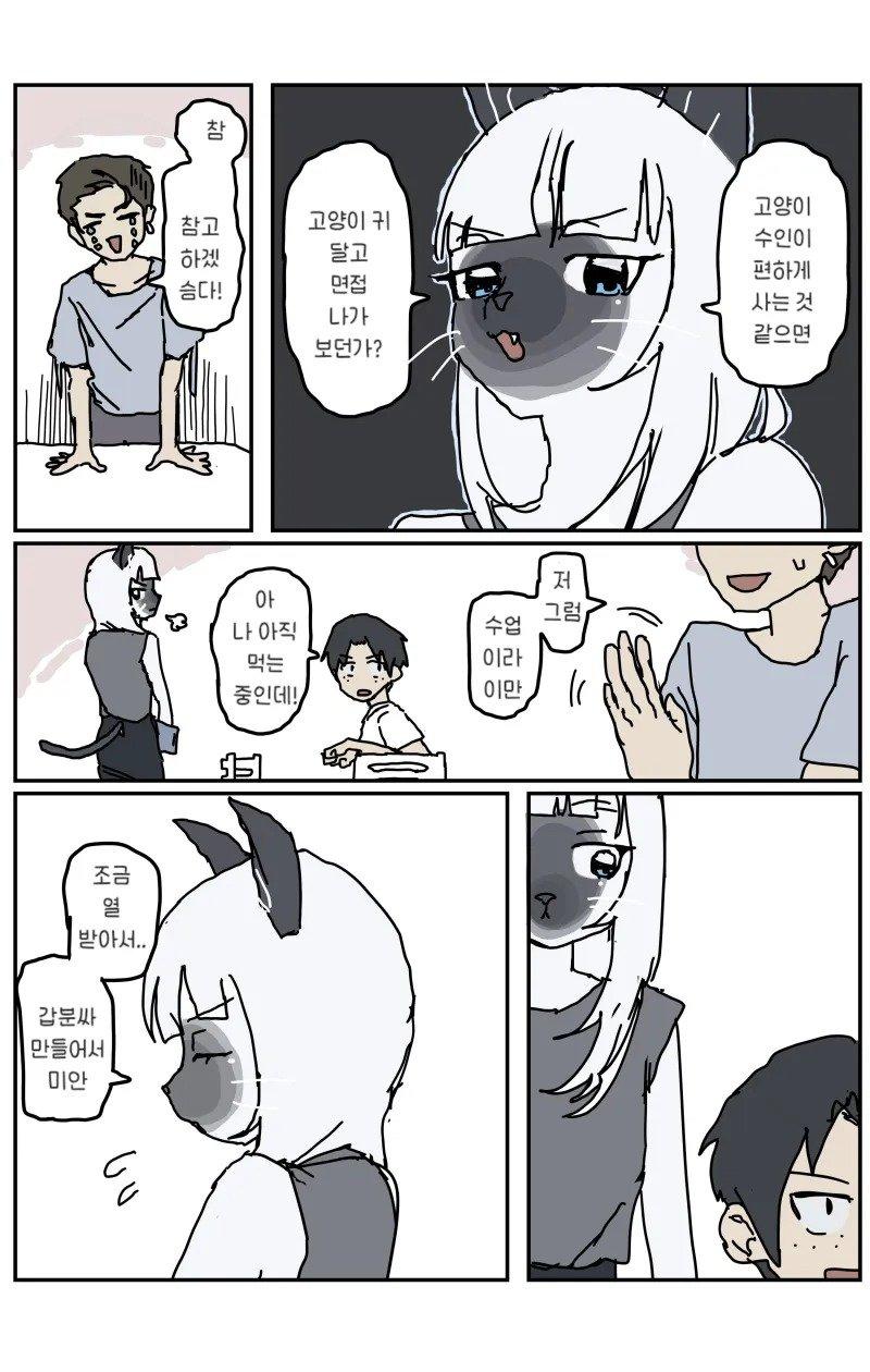 06.jpg
