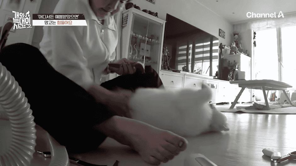[#개와늑대의시간2] _저 같아도 물 것 같._ 하루에 개를 462번 부르는 보호자!_😨🚨 (귀에 딱지 앉을 듯.)🤕🐕 _ 개와 늑대의 시간2 17회 8-9 screenshot.png