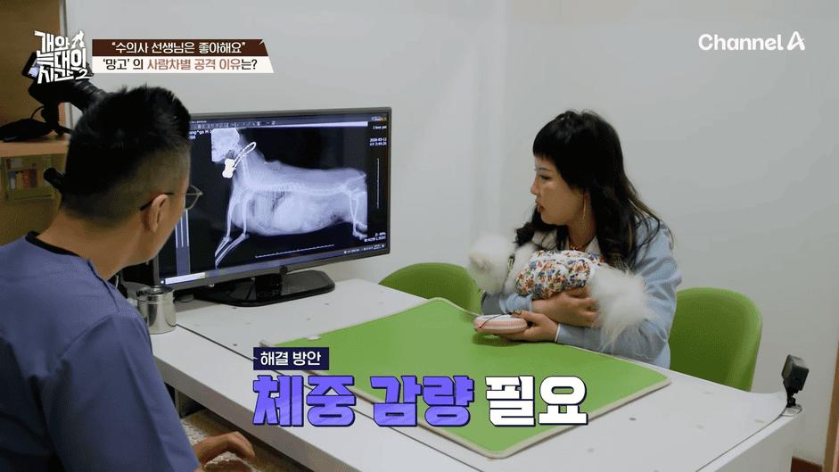 [#개와늑대의시간2] _저 같아도 물 것 같._ 하루에 개를 462번 부르는 보호자!_😨🚨 (귀에 딱지 앉을 듯.)🤕🐕 _ 개와 늑대의 시간2 17회 13-45 screenshot.png