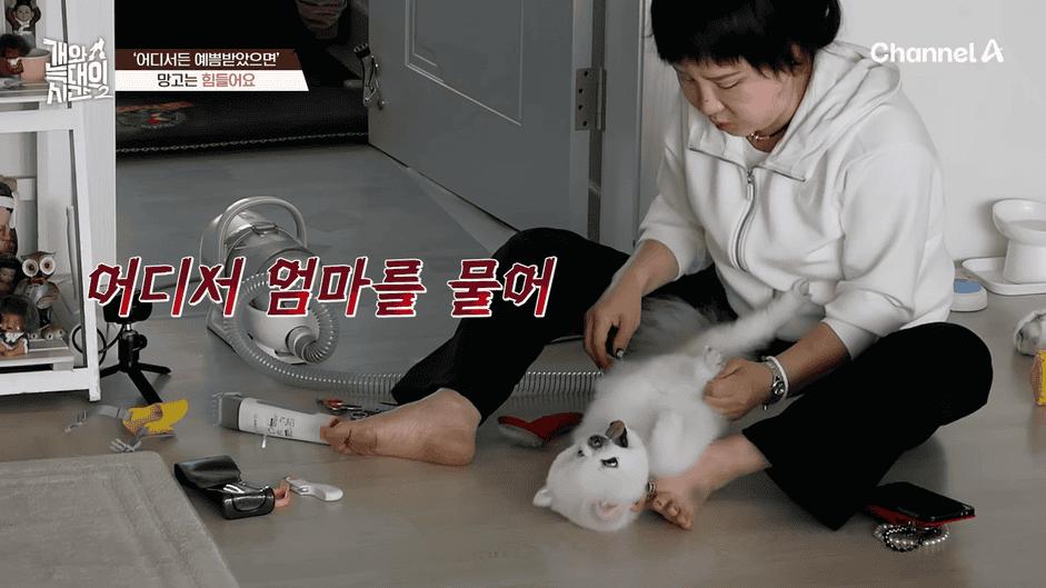 [#개와늑대의시간2] _저 같아도 물 것 같._ 하루에 개를 462번 부르는 보호자!_😨🚨 (귀에 딱지 앉을 듯.)🤕🐕 _ 개와 늑대의 시간2 17회 8-0 screenshot.png