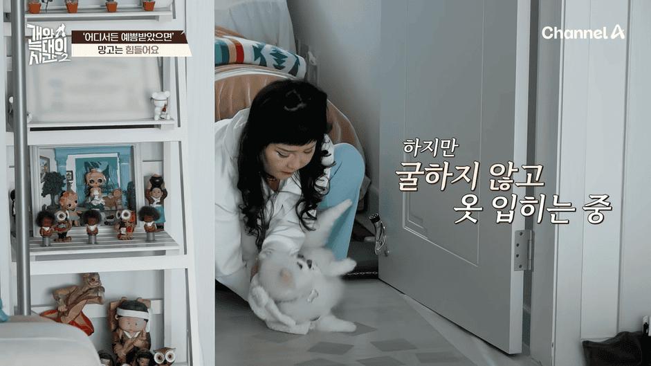 [#개와늑대의시간2] _저 같아도 물 것 같._ 하루에 개를 462번 부르는 보호자!_😨🚨 (귀에 딱지 앉을 듯.)🤕🐕 _ 개와 늑대의 시간2 17회 9-42 screenshot.png