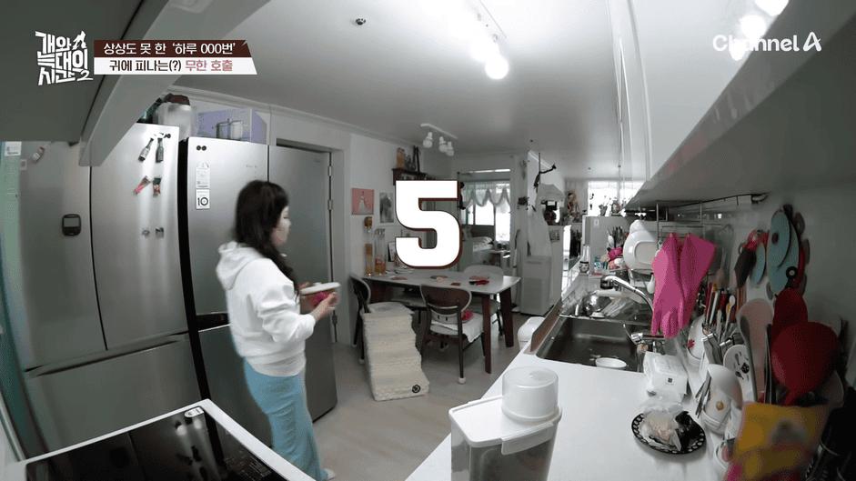 [#개와늑대의시간2] _저 같아도 물 것 같._ 하루에 개를 462번 부르는 보호자!_😨🚨 (귀에 딱지 앉을 듯.)🤕🐕 _ 개와 늑대의 시간2 17회 15-49 screenshot.png