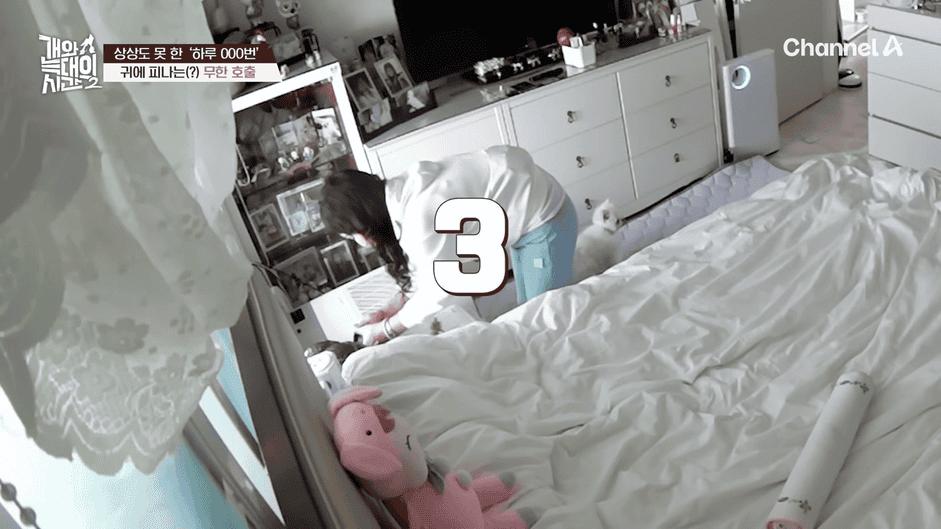 [#개와늑대의시간2] _저 같아도 물 것 같._ 하루에 개를 462번 부르는 보호자!_😨🚨 (귀에 딱지 앉을 듯.)🤕🐕 _ 개와 늑대의 시간2 17회 15-44 screenshot.png