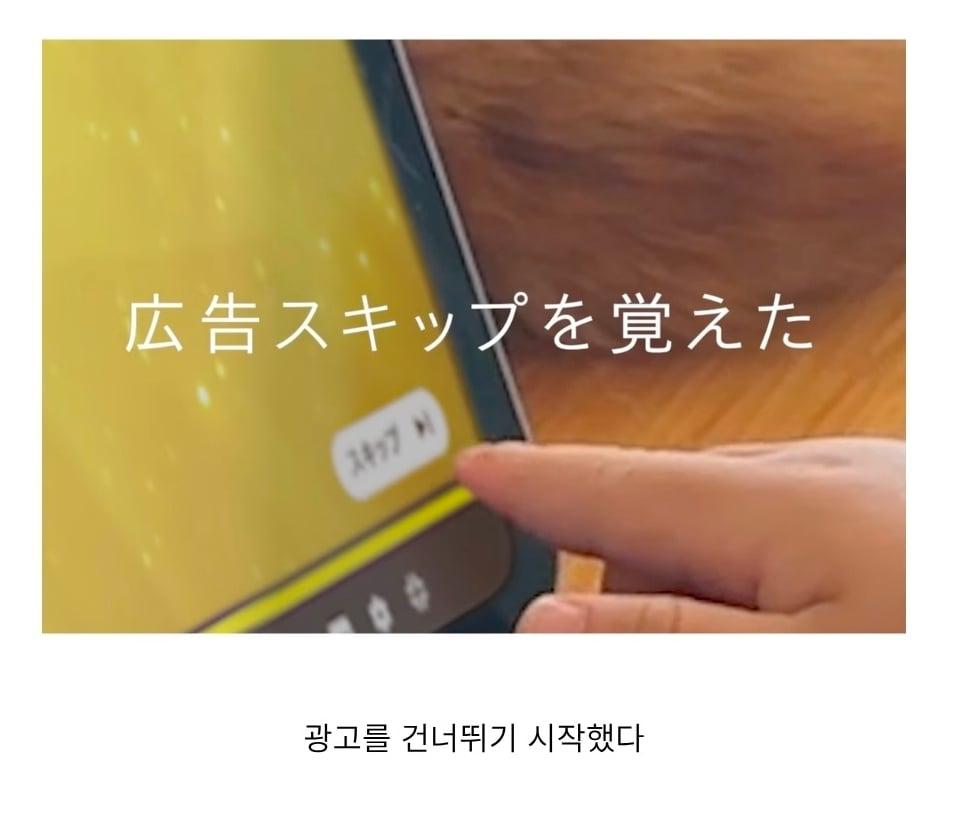 Screenshot_20260515_175124_Instagram.jpg