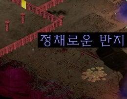 정채의 정체 (1).JPG