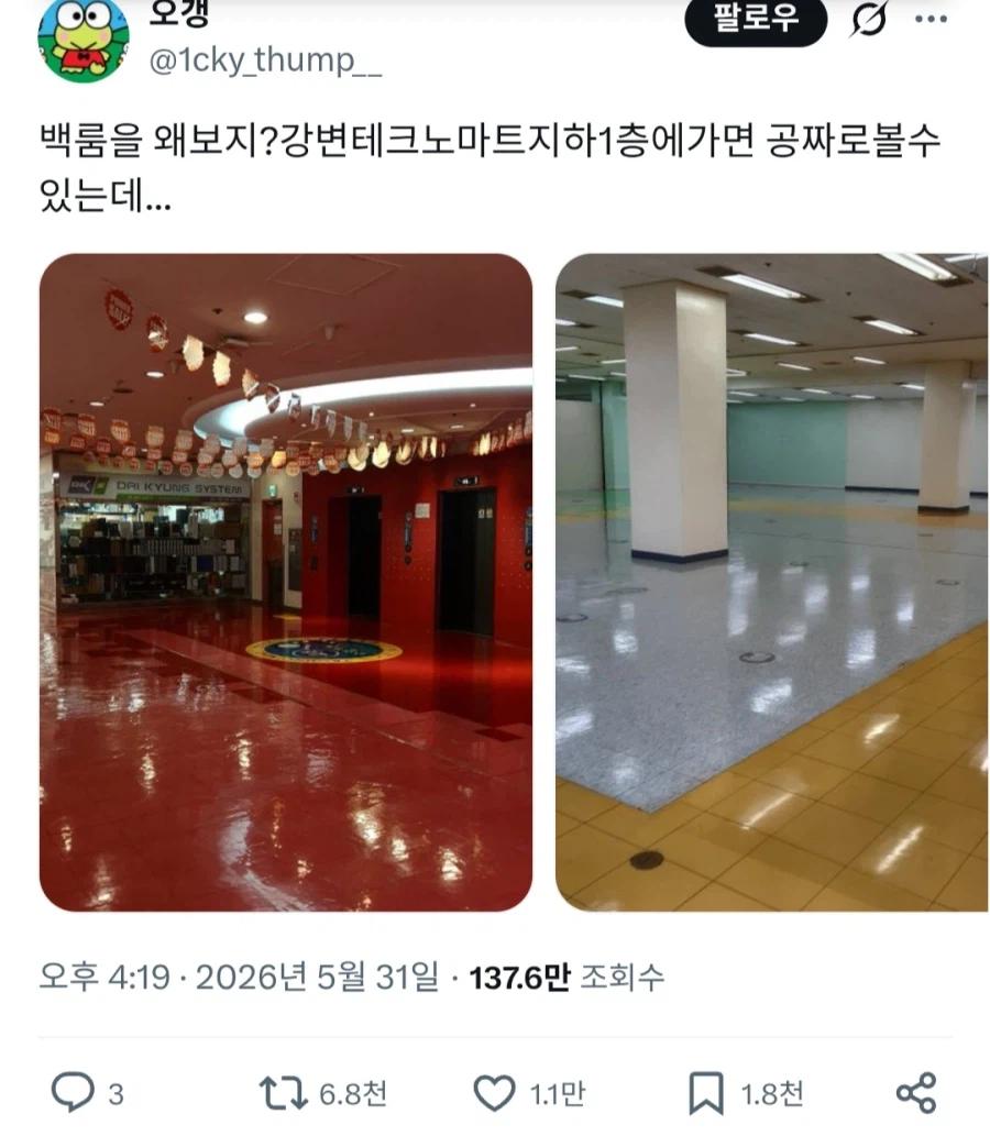 19e81623f3e563bed.webp