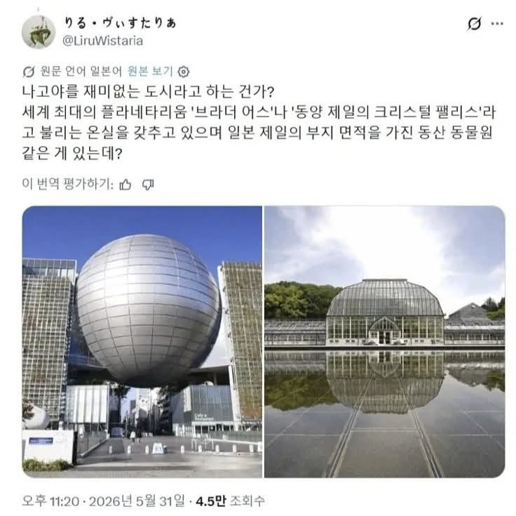 한국인에게 긁힌 일본인