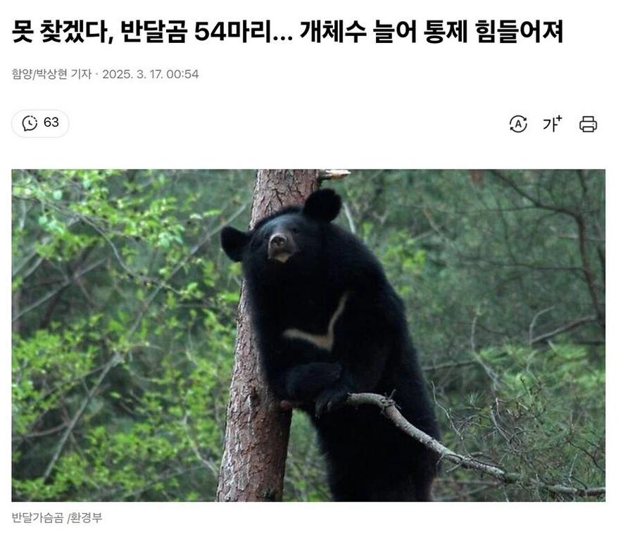 1cdb4deddf8882c8916aa02ac2ed0a6b.png