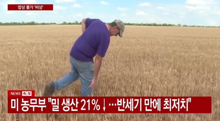 Cap 2026-06-08 00-36-57.png 속보) 호르무즈 해협 사태 장기화에 농업 포기 속출.jpg