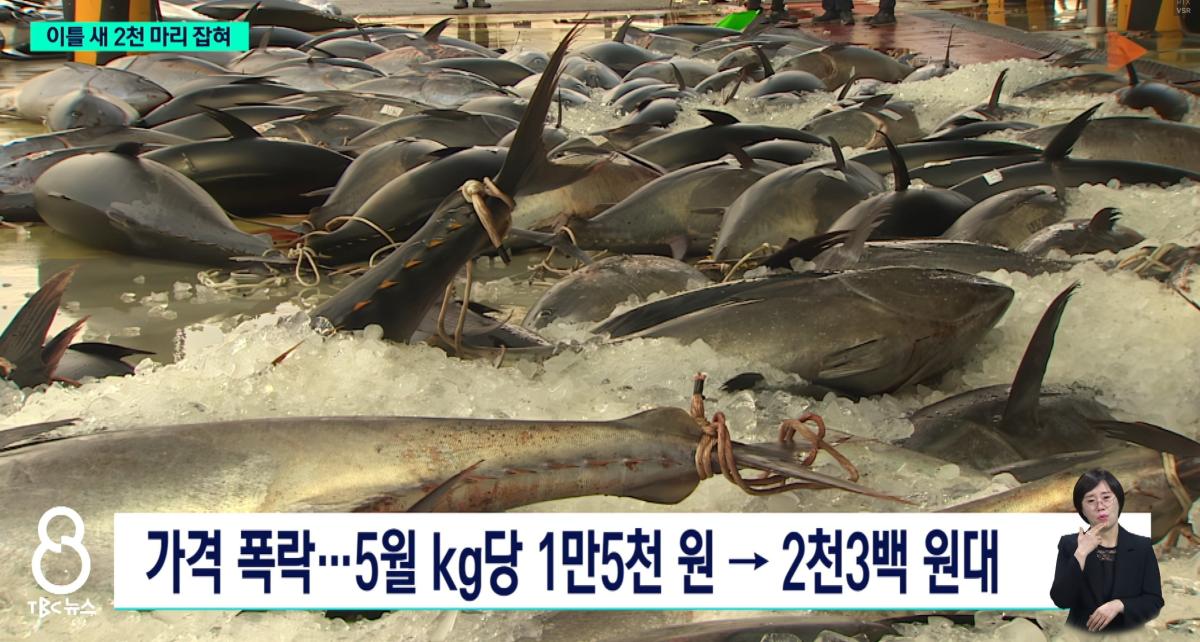 화면 캡처 2026-06-11 085919.jpg