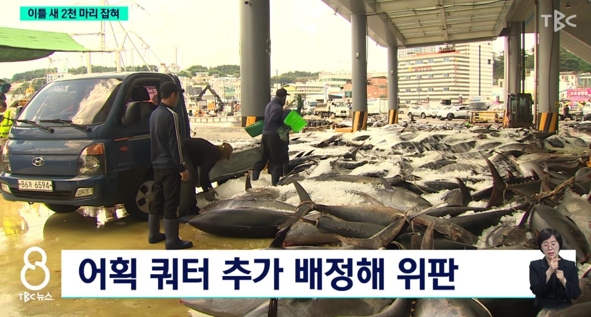 화면 캡처 2026-06-11 085907.jpg