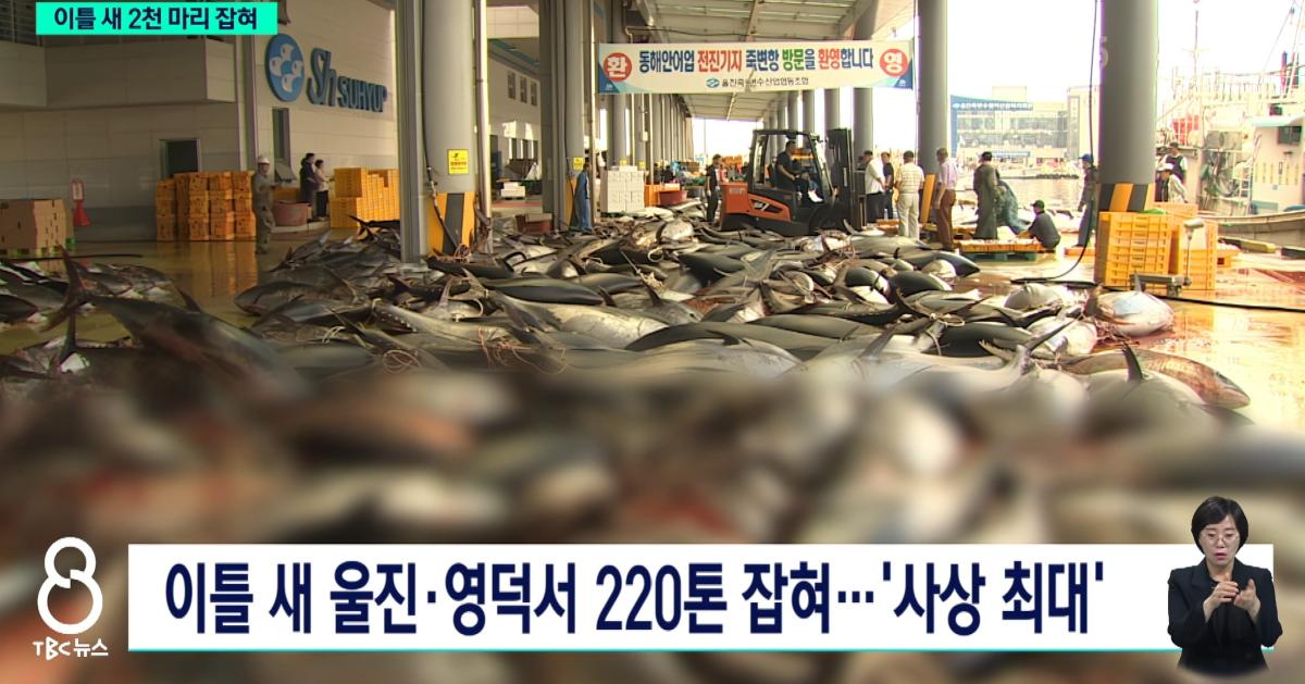 화면 캡처 2026-06-11 085851.jpg