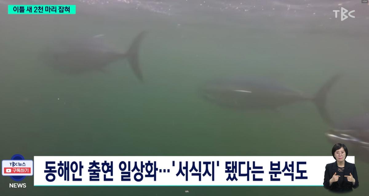 화면 캡처 2026-06-11 085958.jpg