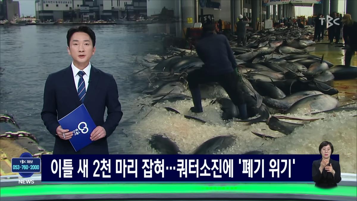 이틀 새 참치 2천 마리 잡혀.사상 최대ㅣTBC뉴스 0-2 screenshot.png