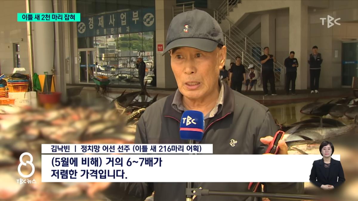 이틀 새 참치 2천 마리 잡혀.사상 최대ㅣTBC뉴스 1-43 screenshot.png