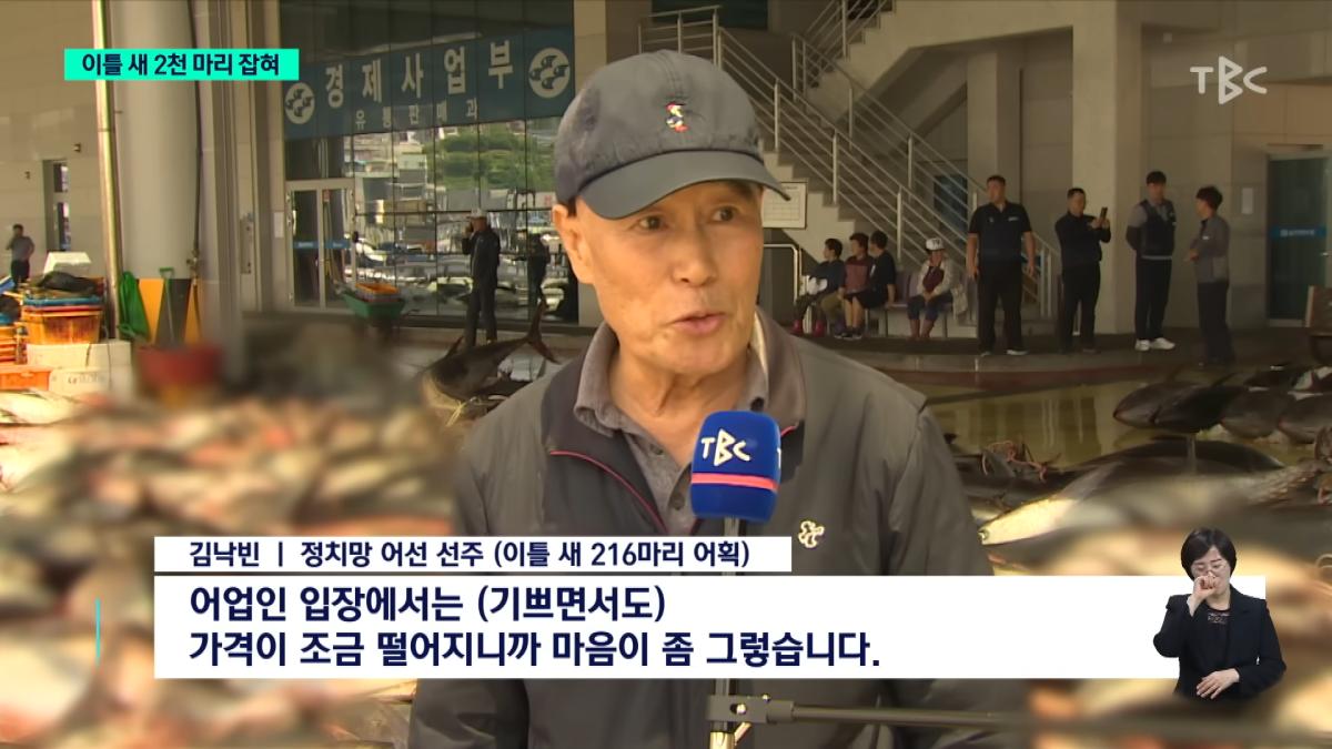 이틀 새 참치 2천 마리 잡혀.사상 최대ㅣTBC뉴스 1-50 screenshot.png