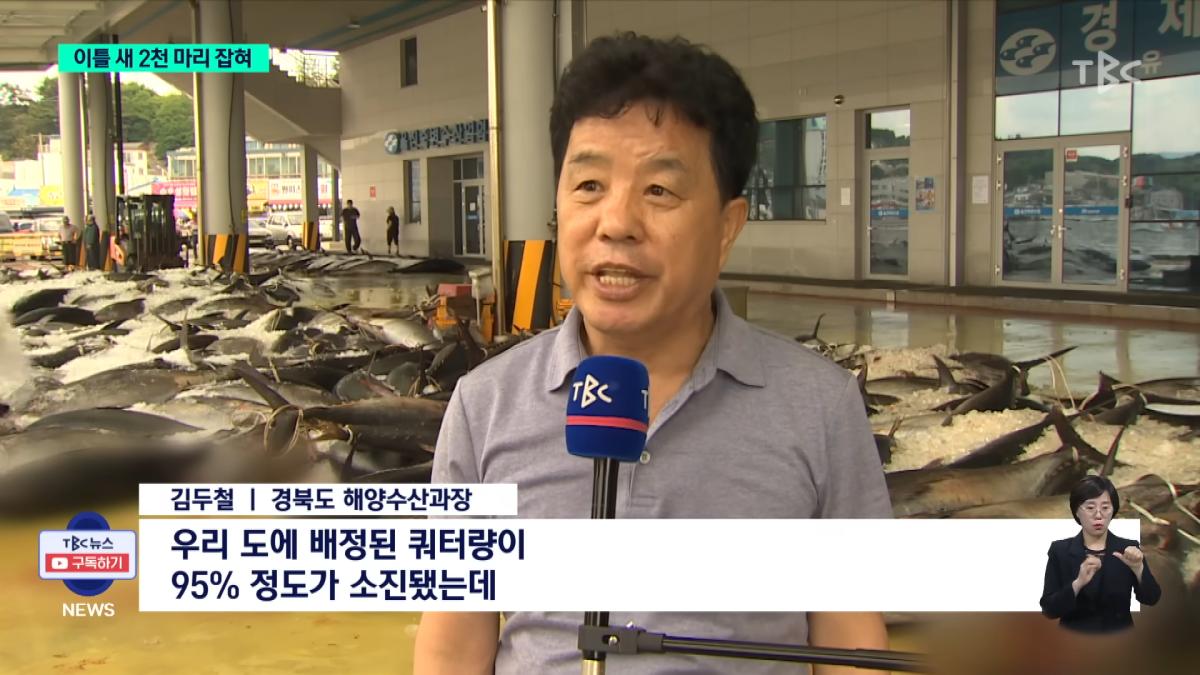 이틀 새 참치 2천 마리 잡혀.사상 최대ㅣTBC뉴스 2-28 screenshot.png