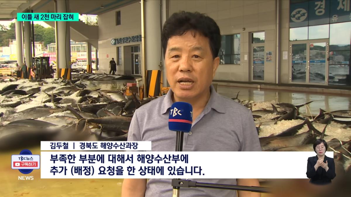 이틀 새 참치 2천 마리 잡혀.사상 최대ㅣTBC뉴스 2-32 screenshot.png