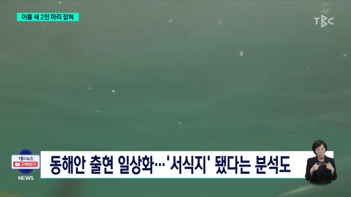 이틀 새 참치 2천 마리 잡혀.사상 최대ㅣTBC뉴스 2-38 screenshot.png