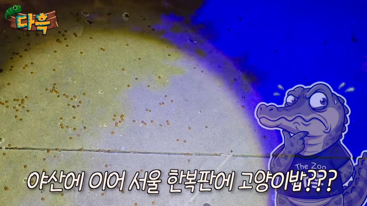 서울역 한복판 바퀴벌레 습격사건!! 뉴스가 사실입니다. 쓸어잡아봤는데 끝이없는데요_ 4-2 screenshot.png
