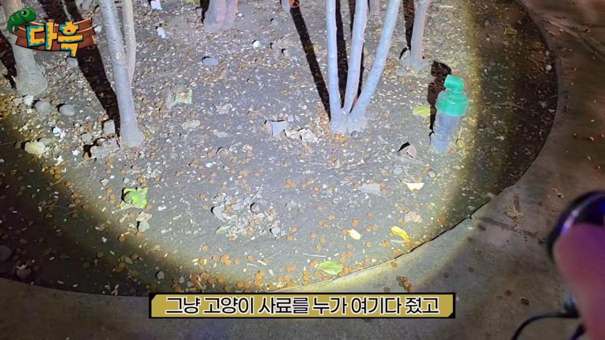서울역 한복판 바퀴벌레 습격사건!! 뉴스가 사실입니다. 쓸어잡아봤는데 끝이없는데요_ 4-19 screenshot.png