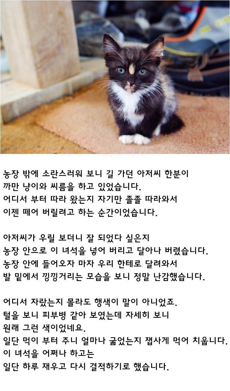 03.jpg