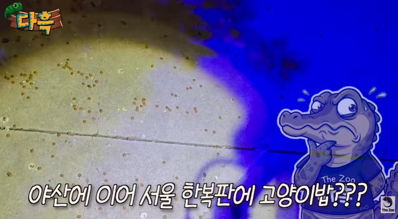 1231231.png
