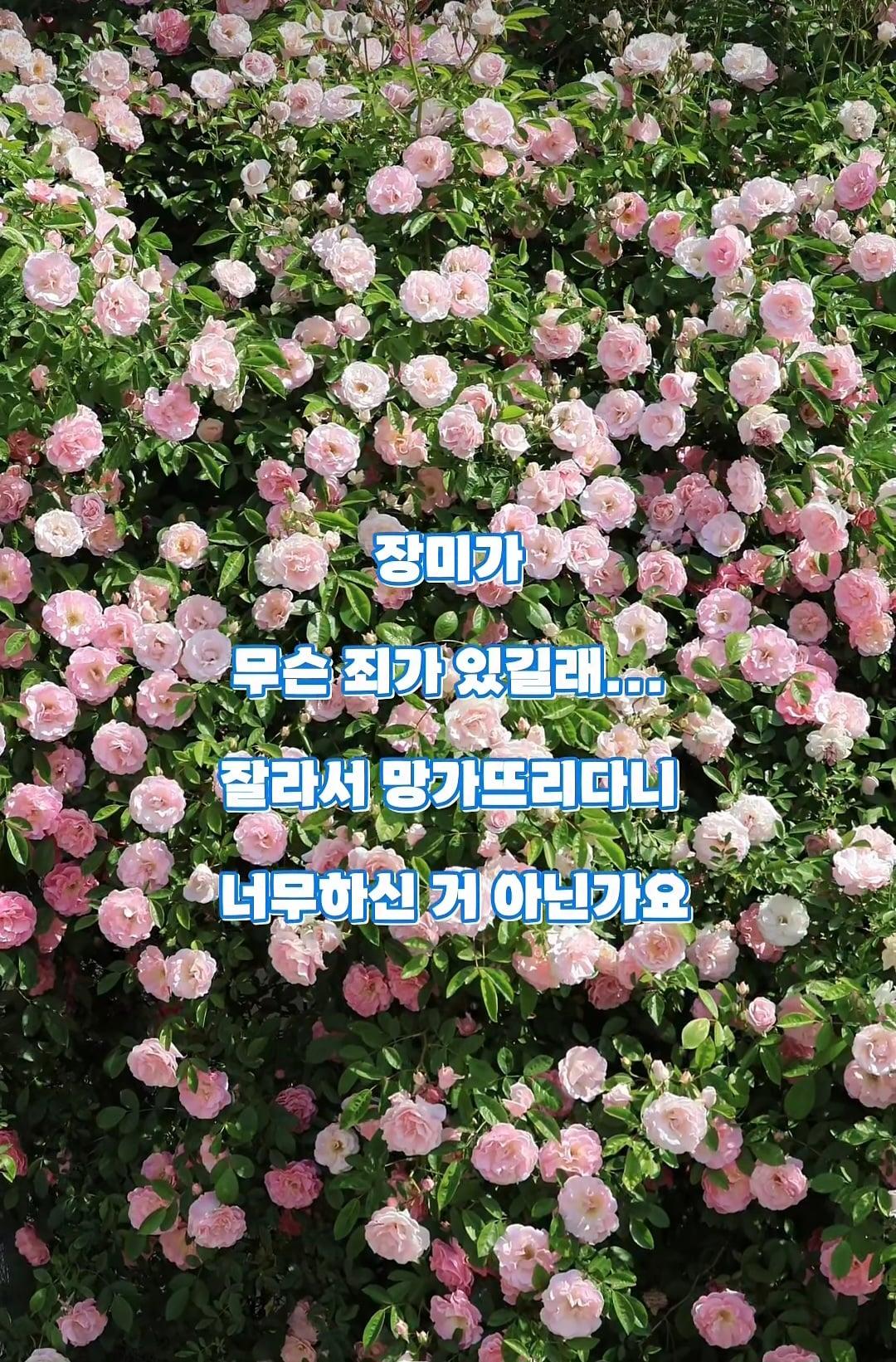 Screenshot_20260625_073725_Instagram.jpg