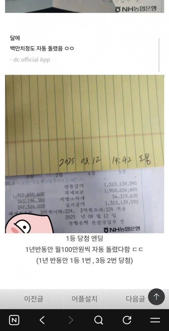 01.jpg