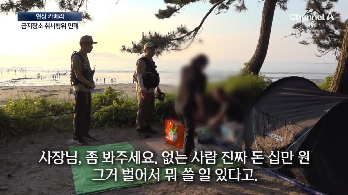 [현장 카메라]금지구역서 캠핑 걸리자 “불지르고 싶네”_ 채널A _ 뉴스A 1-5 screenshot.png