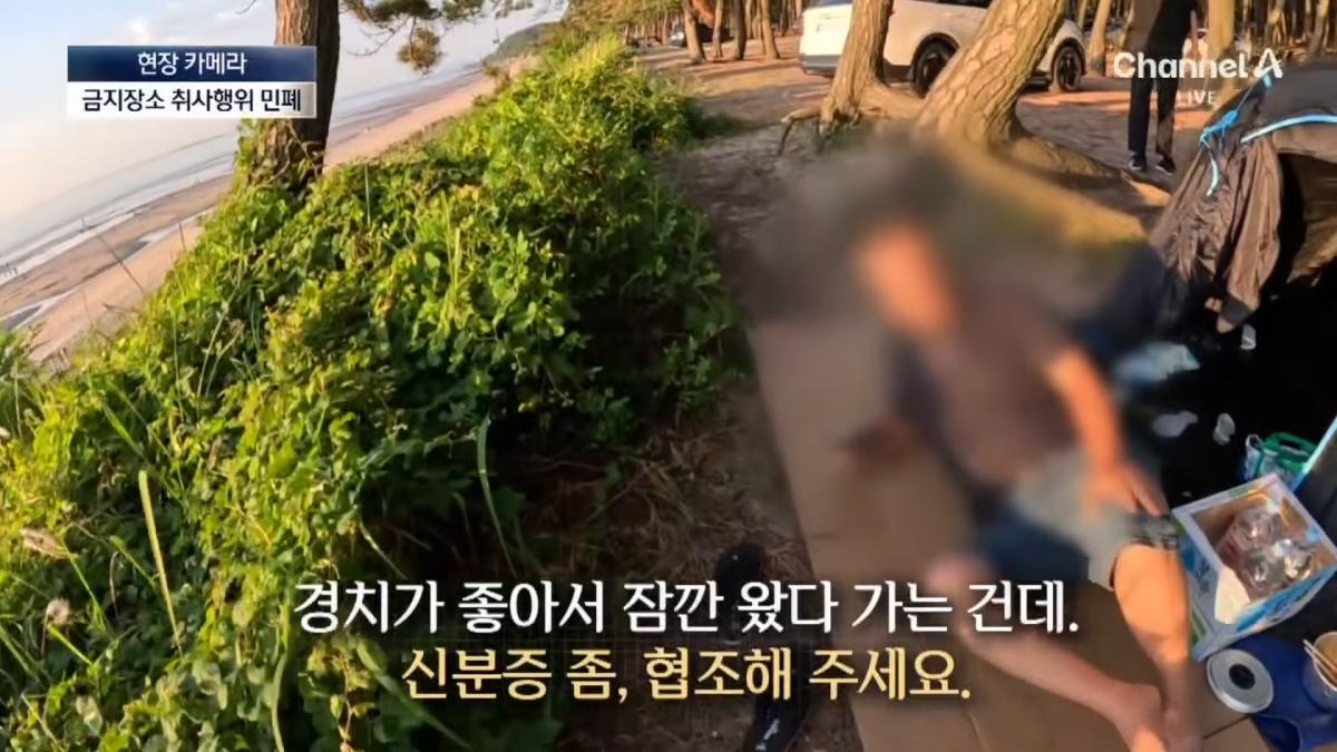 [현장 카메라]금지구역서 캠핑 걸리자 “불지르고 싶네”_ 채널A _ 뉴스A 1-0 screenshot.png