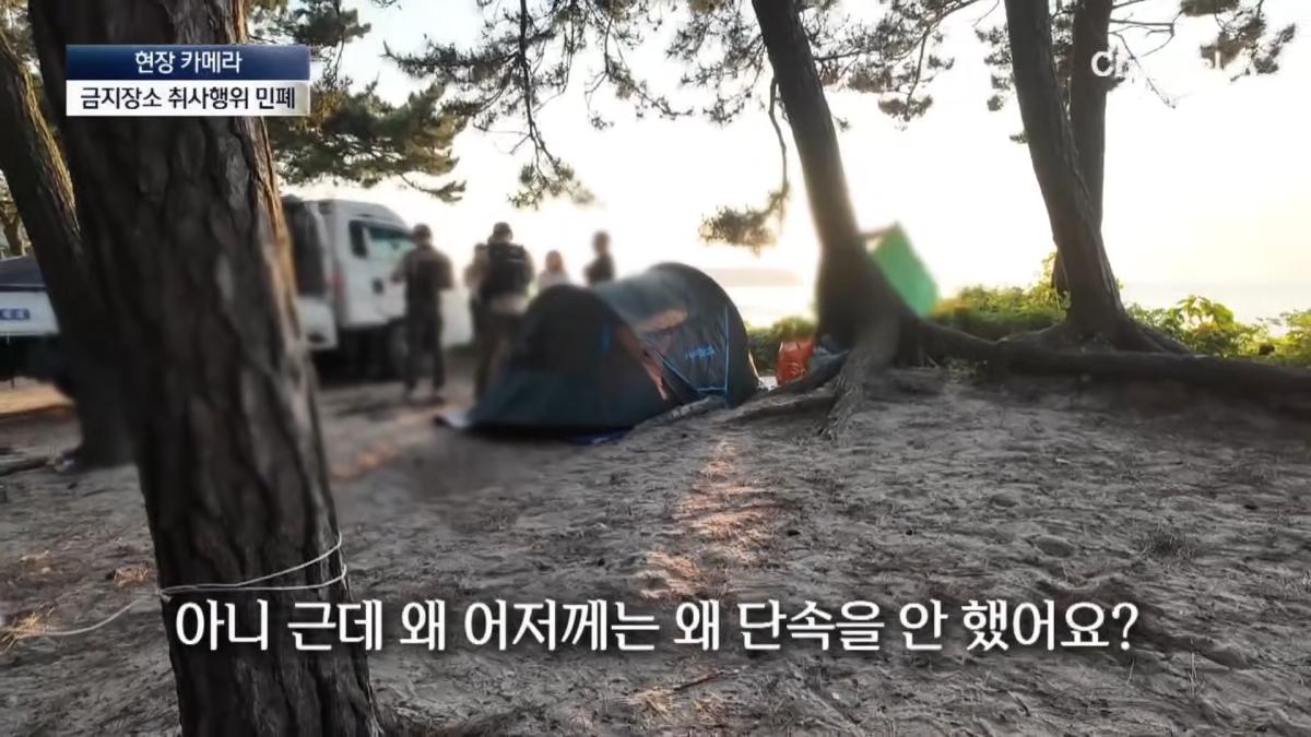 [현장 카메라]금지구역서 캠핑 걸리자 “불지르고 싶네”_ 채널A _ 뉴스A 1-15 screenshot.png